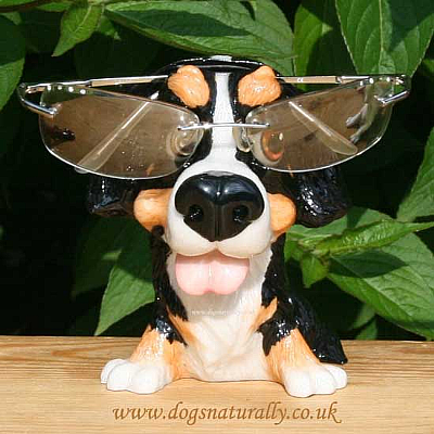 Bernese Mountain Dog Glasses Holder (Bernie)